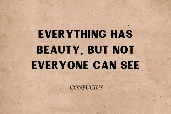 "Everything has beauty, but not everyone can see" - Confucius